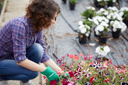 Landscape gardening design in Upper Clapton with stylish planting and paving