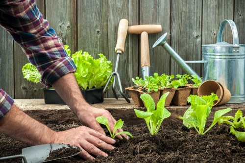 Team training for safe gardening practices in Upper Clapton