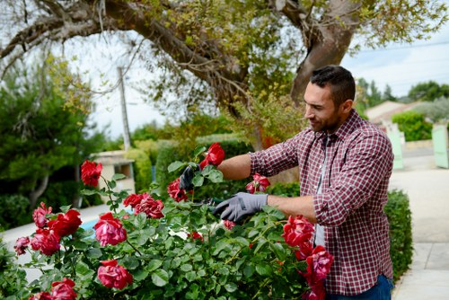 Inclusive online experience for Gardeners Upper Clapton visitors