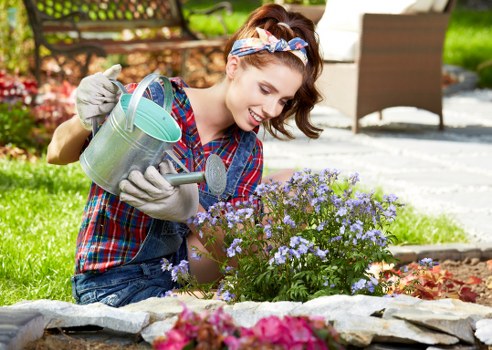 Lawn mowing and garden upkeep in Upper Clapton