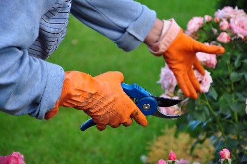 Upper Clapton gardener working in a leafy residential garden