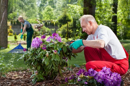 Neat residential lawn care in Upper Clapton
