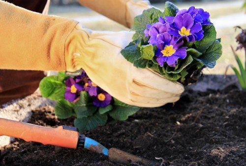 Low-carbon van supporting eco-friendly garden services