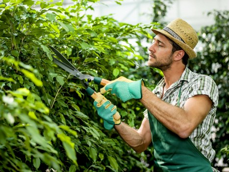 Cancellation and rescheduling policy for garden services