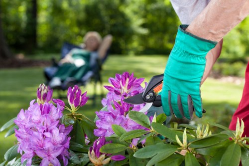 Final stage of a gardeners complaints procedure