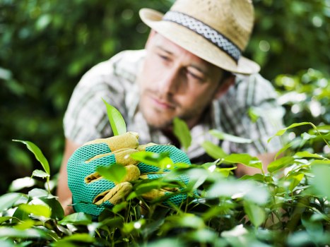 Professional patio cleaning removing moss and algae in Upper Clapton