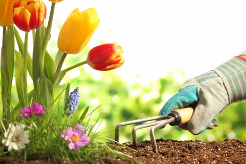 Transparent garden service pricing for Upper Clapton homes and flats
