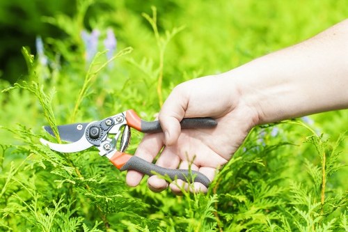 Outdoor gardening work with safety awareness and proper handling of materials