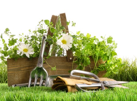 Professional garden maintenance for Upper Clapton homes