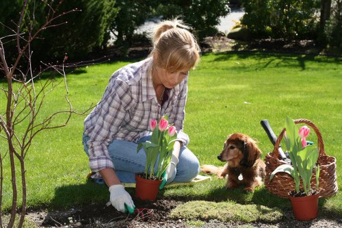 Upper Clapton gardening team maintaining plants and borders