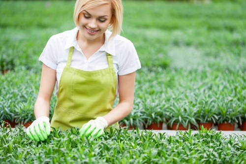 Professional gardeners in Upper Clapton caring for a landscaped garden