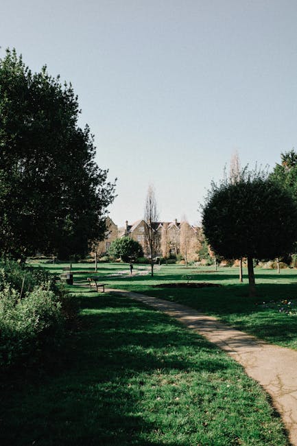 A scenic view of a well-maintained public park in Clapton, featuring a winding concrete pathway bordered by lush, neatly trimmed grass and a variety of trees, including a large leafy tree on the left