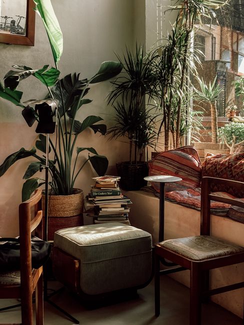 An indoor space featuring a collection of lush, leafy houseplants with various textures, including broad-leafed plants and spiky palms, positioned near a large window that lets in natural light. The w
