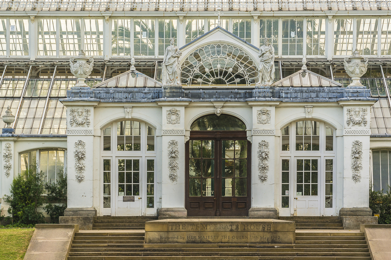 lawn mowing lawn maintenance